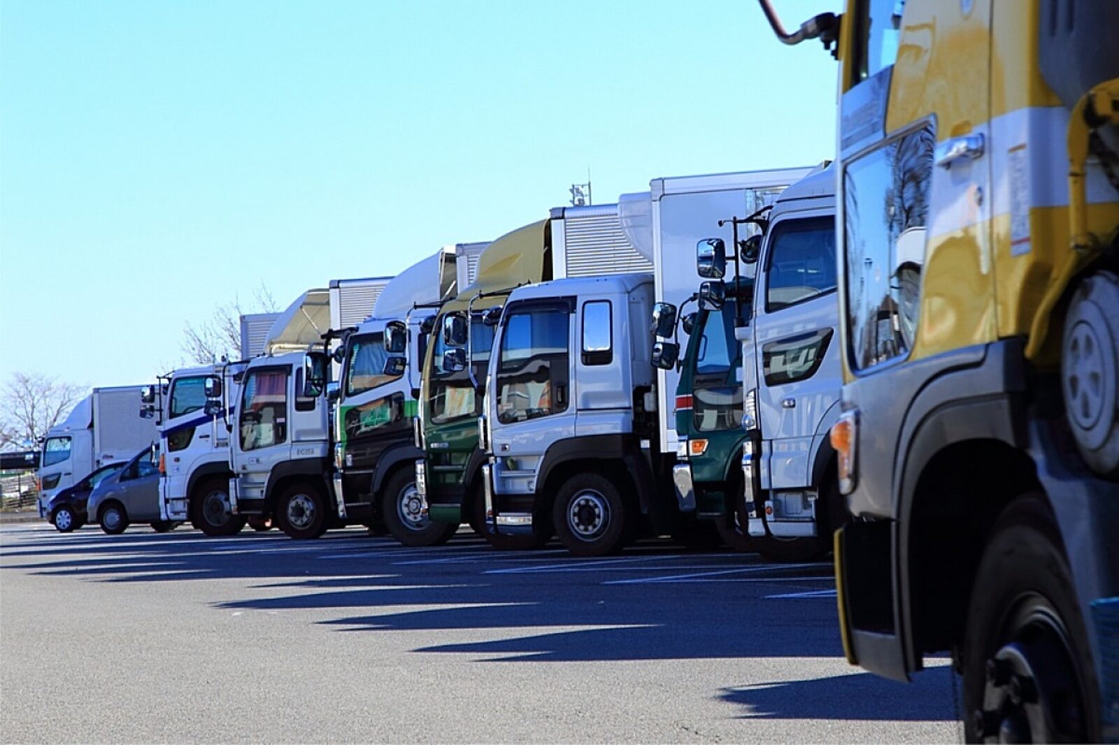 1658831232 transporttir