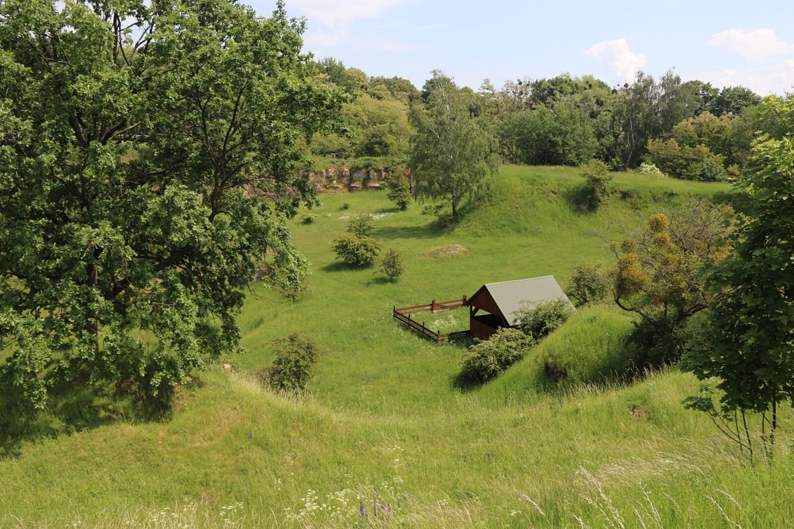 1676630384 goraswanny