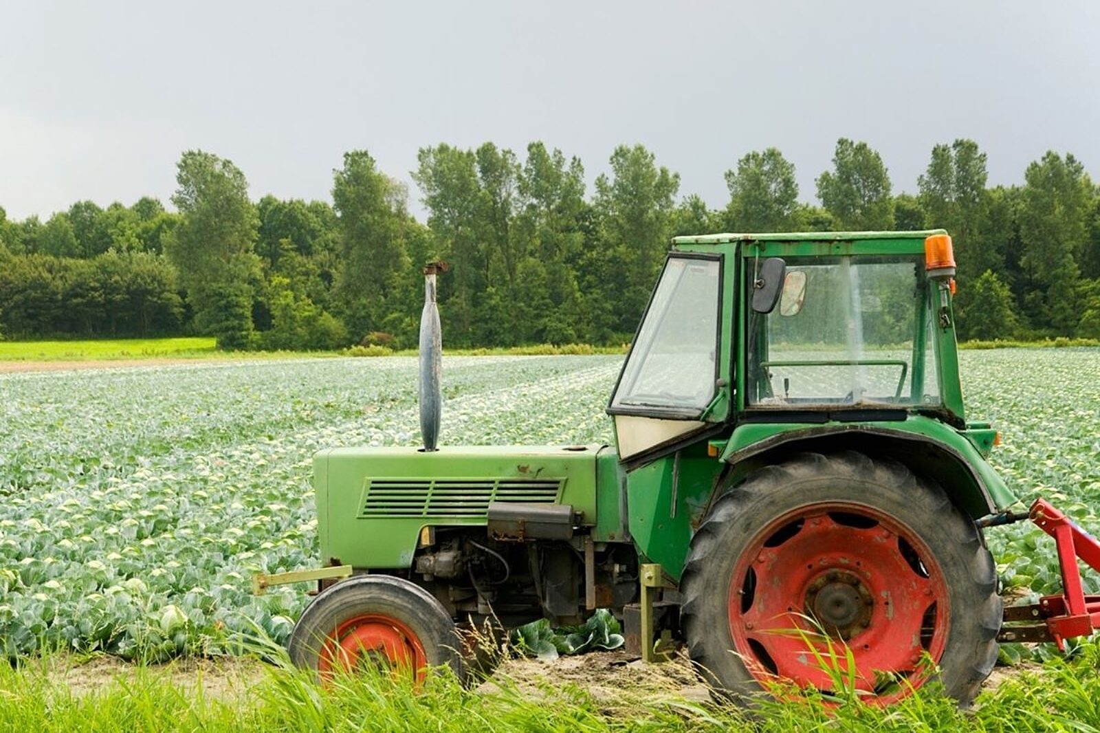 1678785725 wies canva