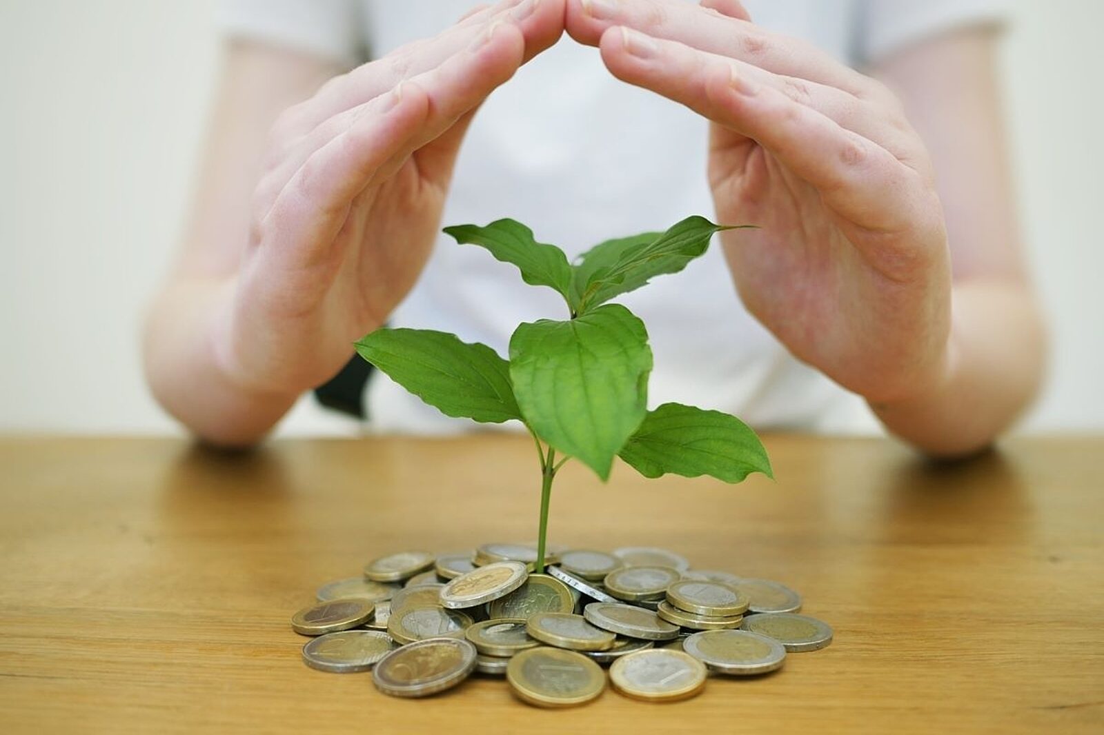 1679646855 pieniadze materialpartnera