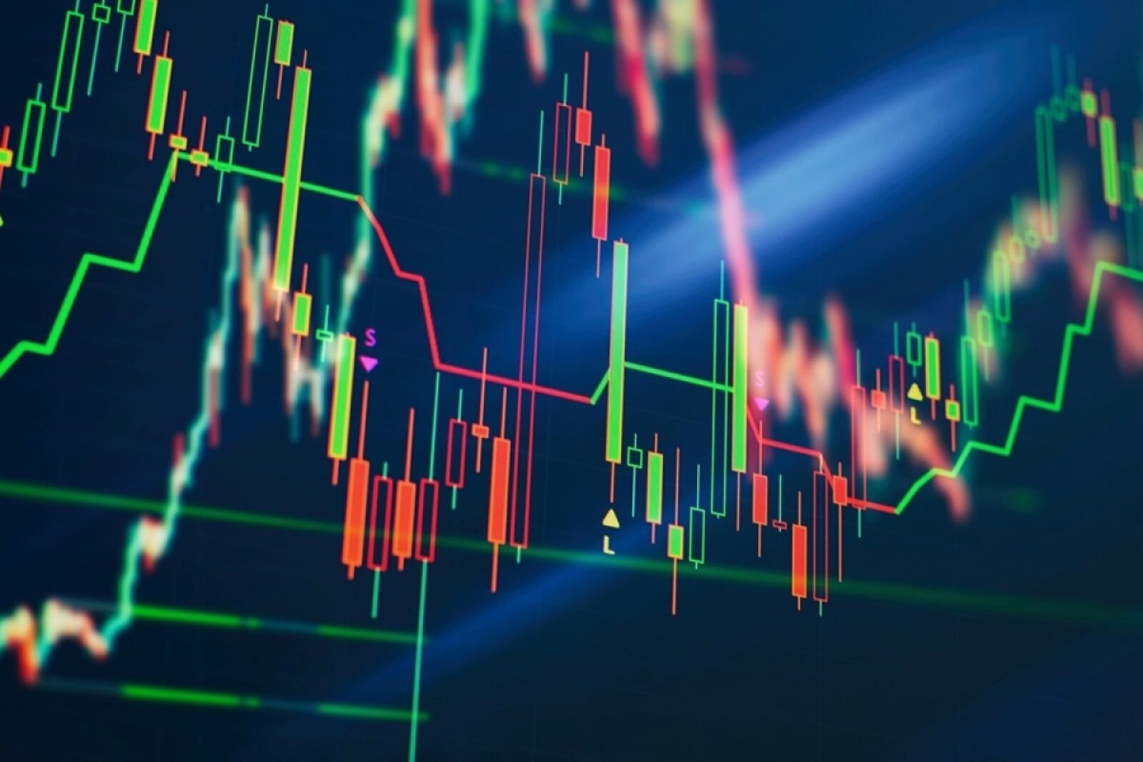 1680599477 fotowcowartoglowne