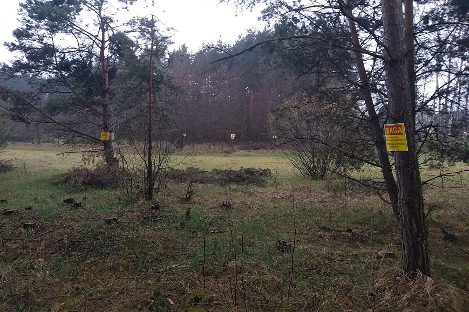 1681815018 trzebinia znaki srk