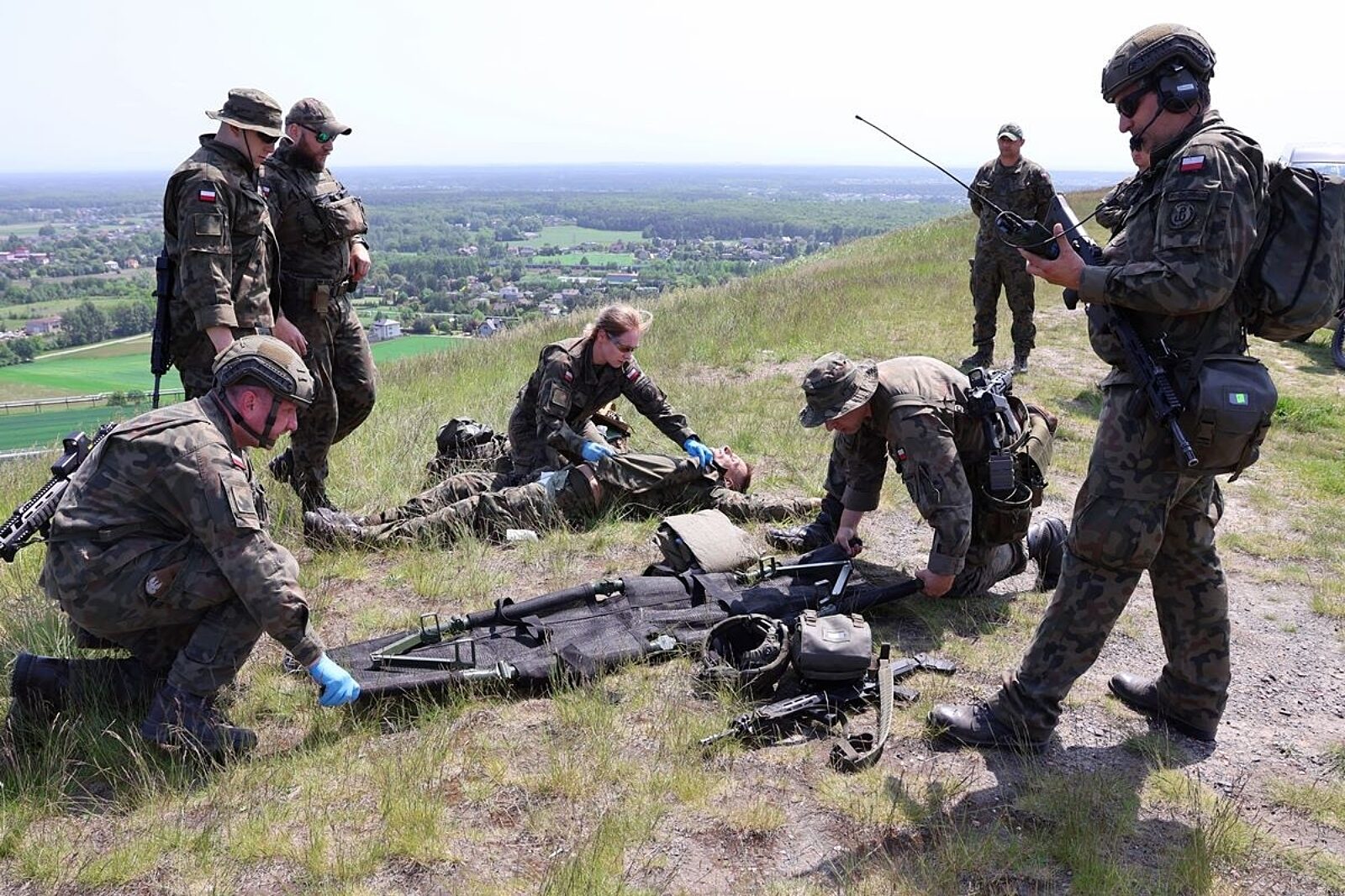 1685614595 terytorialsi skalny arc