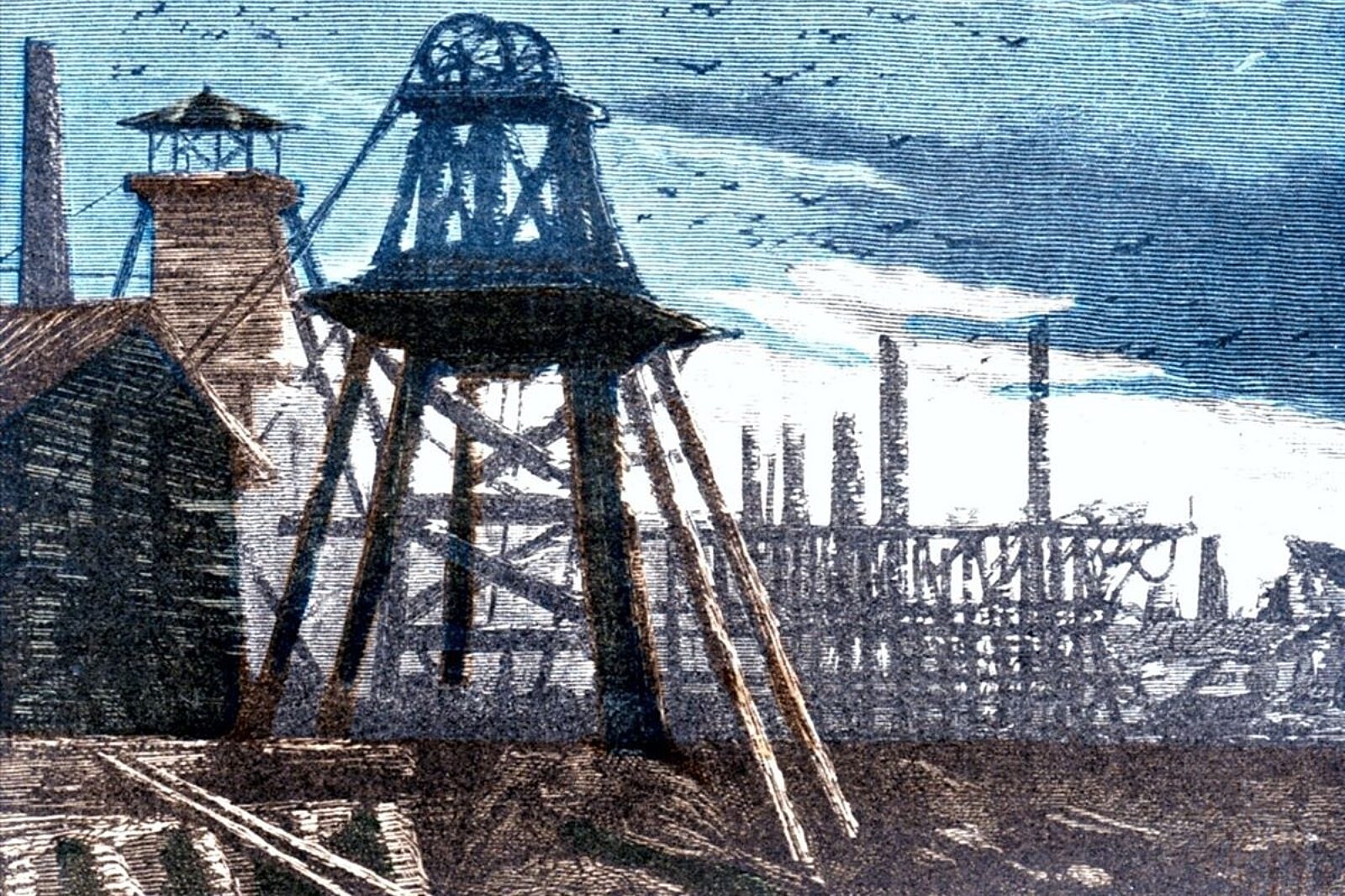 1685618547 verne jamakasz