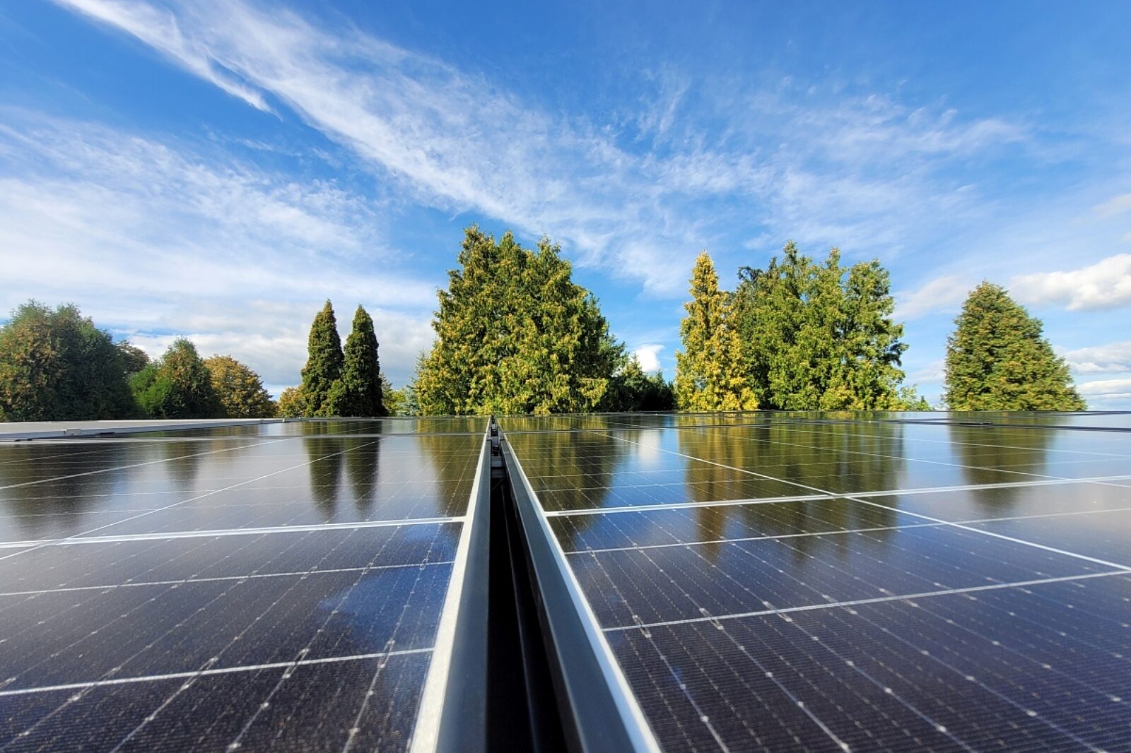 1696248558 adobestock 5295347211