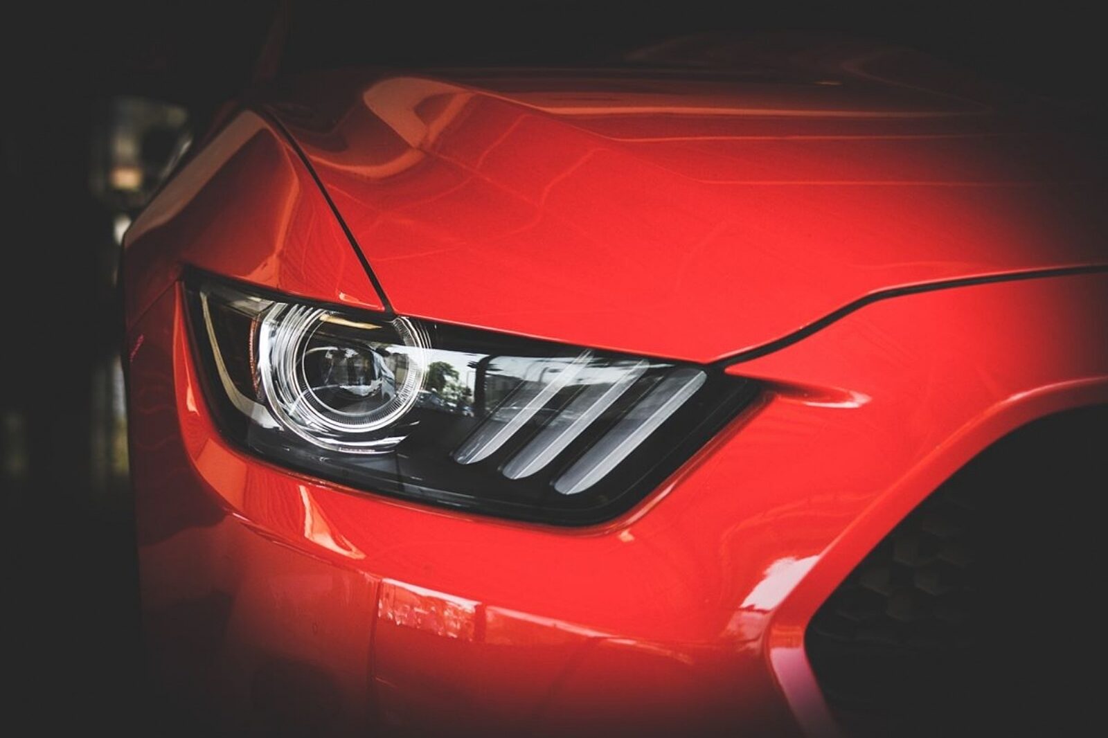 1698660996 reflektor1 pexels