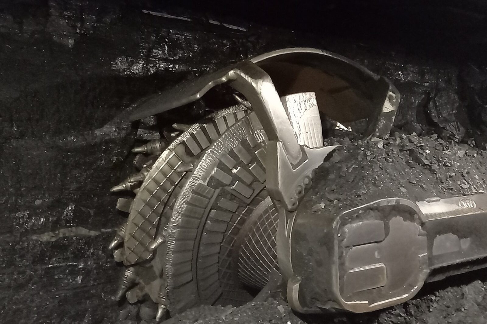 1699618445 sciana lwbogdanka