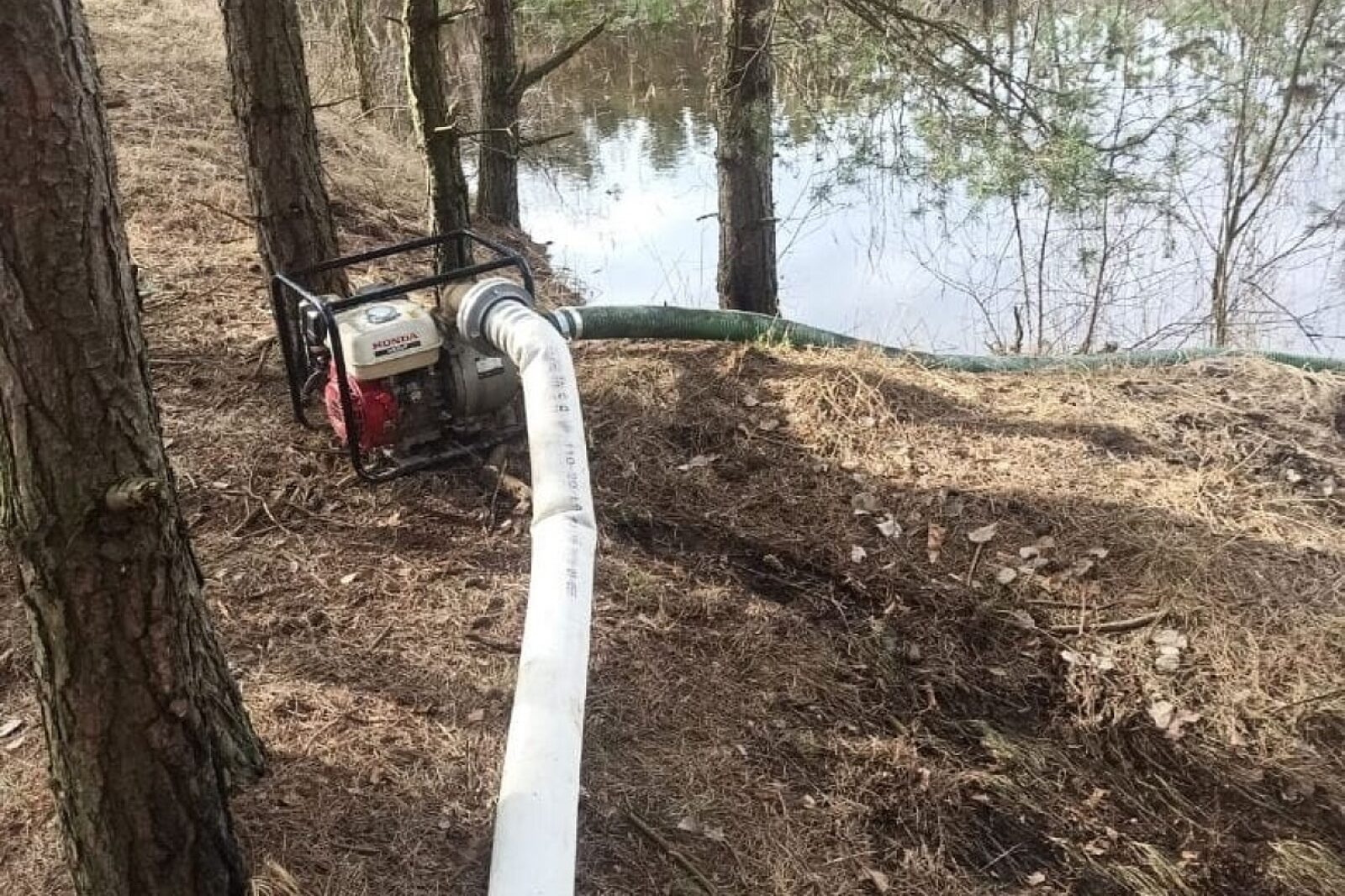 1709547819 pompy srk