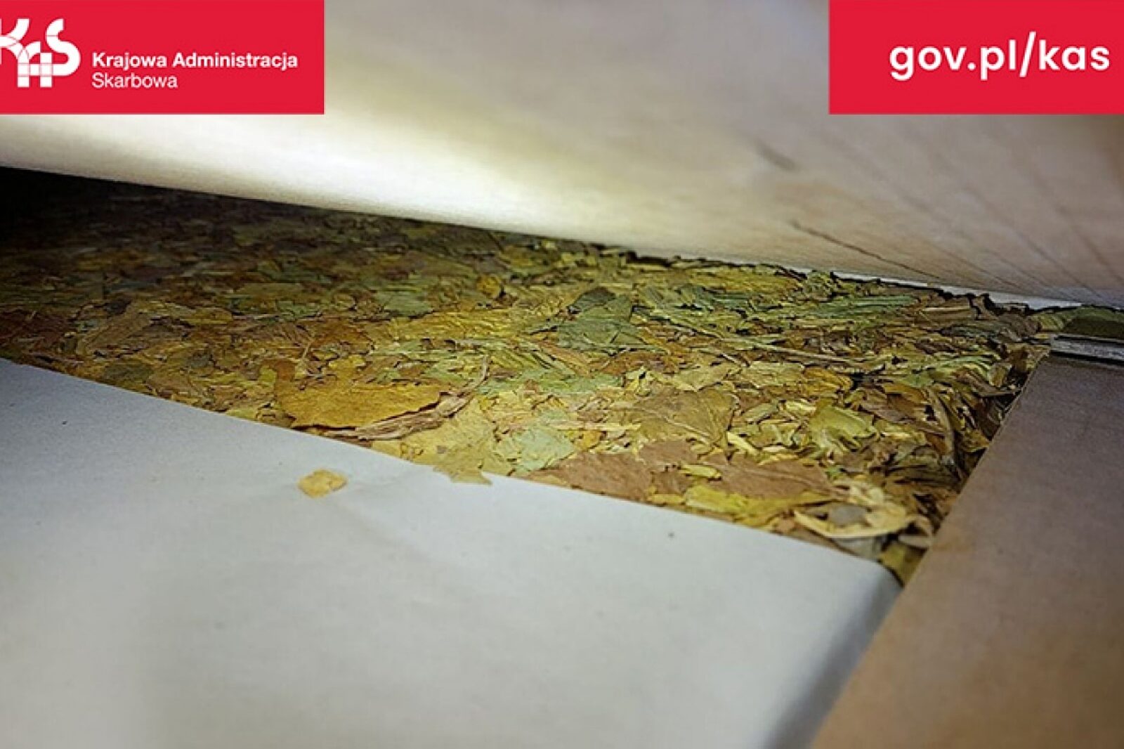 1713858024 liscietytoniu