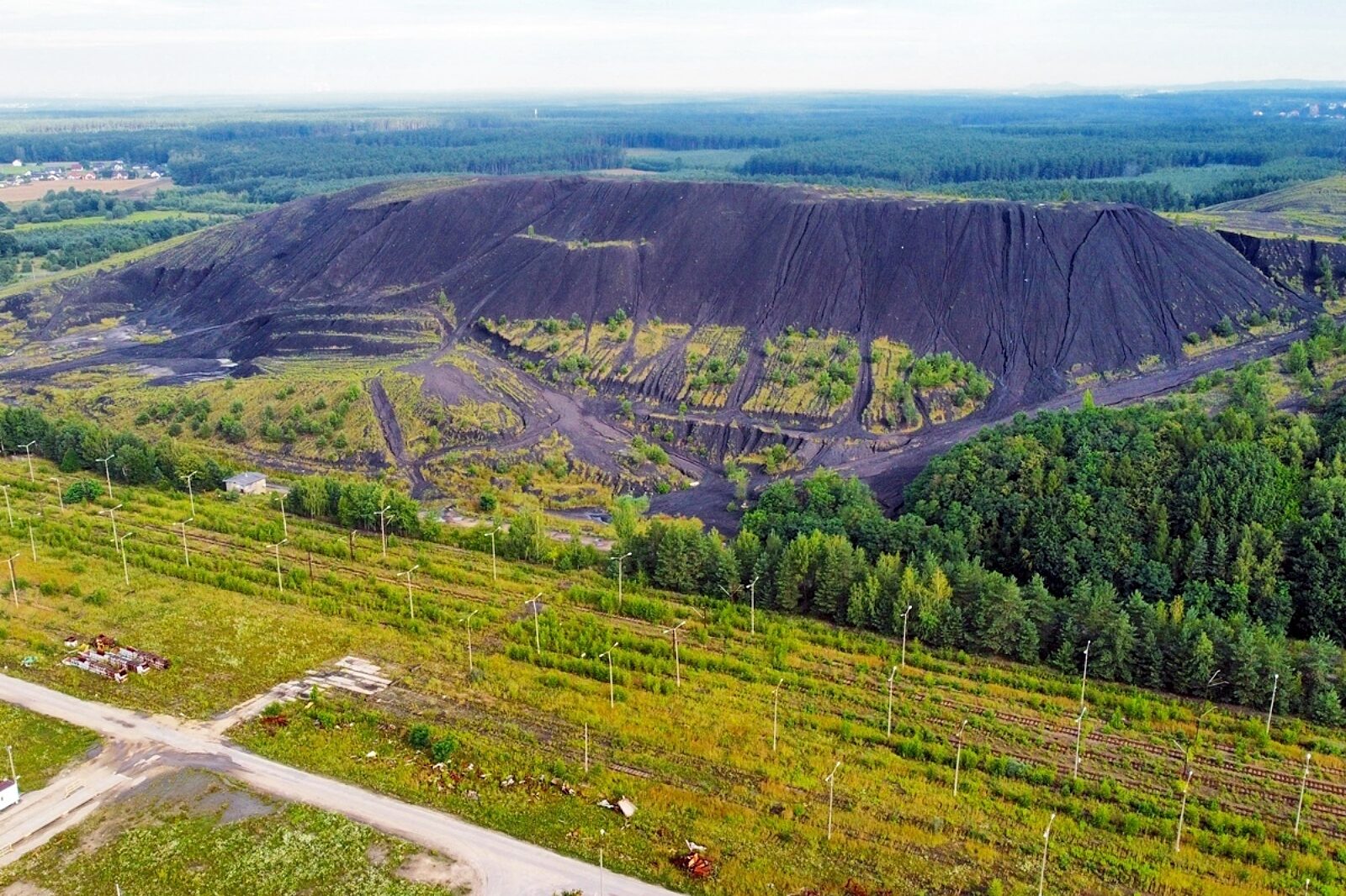 1721905059 halda krupinski mtomalik