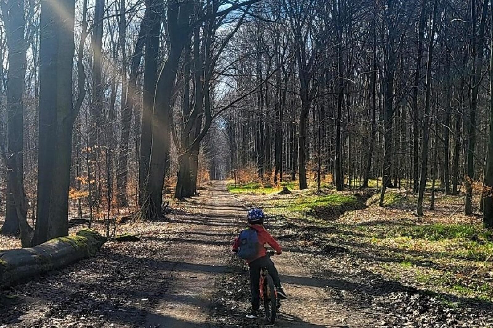 1724078544 roweryrezerwat