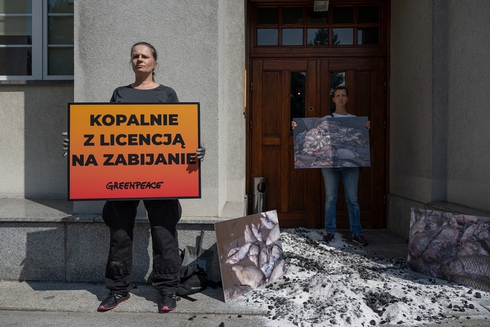 1724160044 greenpeace