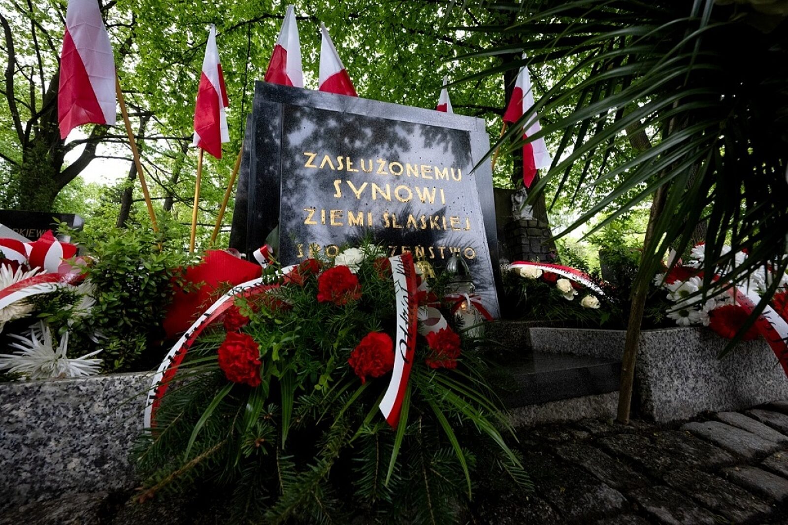 1729748428 grobfkrzysztoflojkoipn