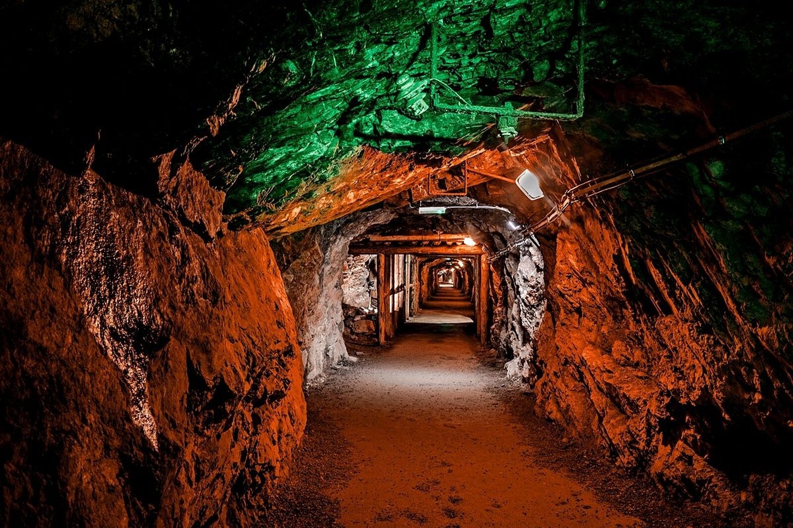 1731603784 zlotystok