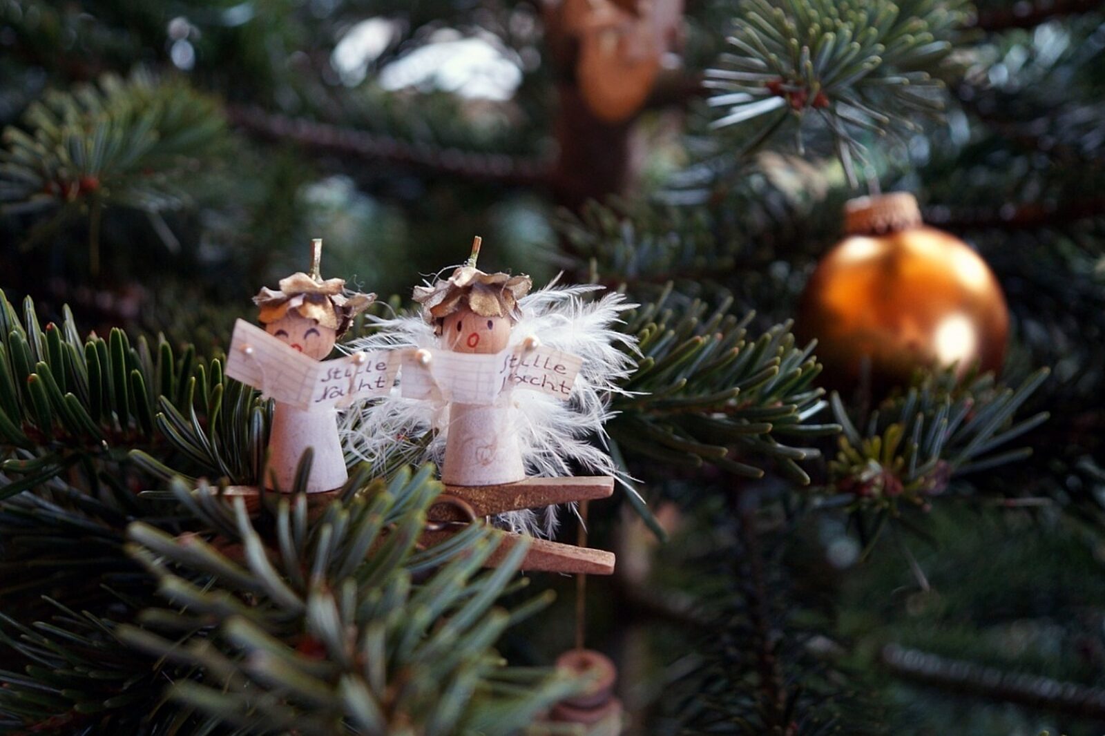 1733473436 angels 6891215 1280