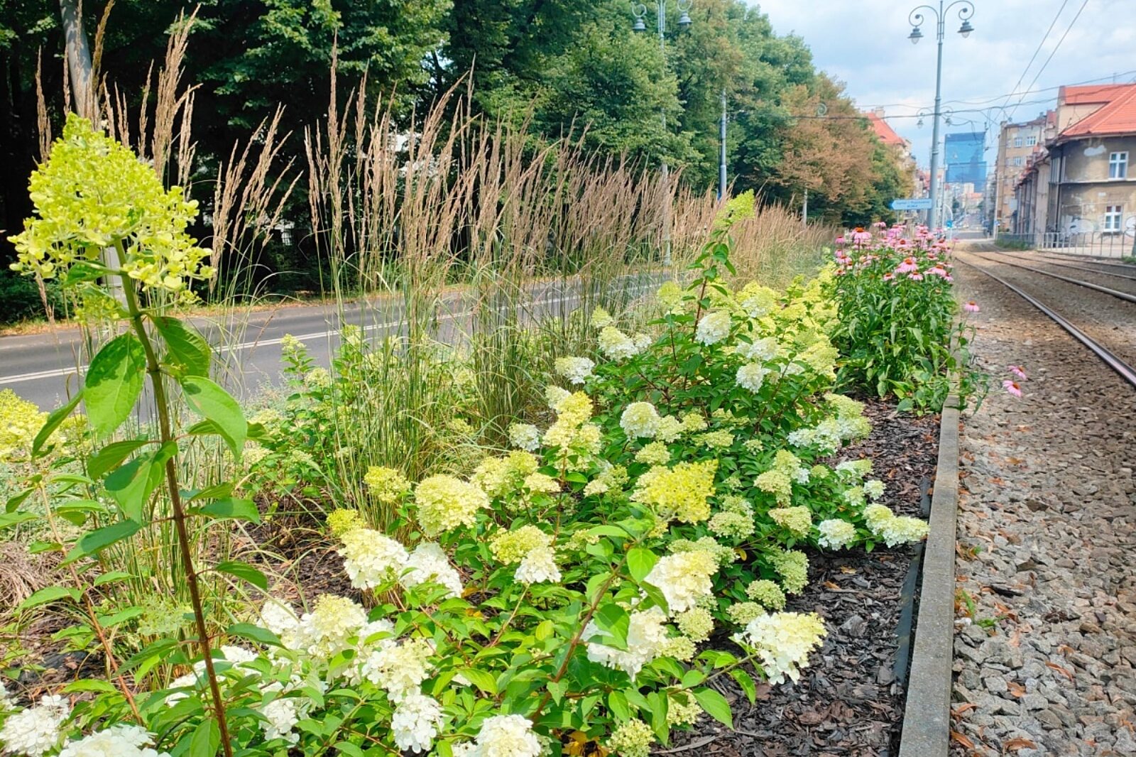 1740151103 zzmkatowice