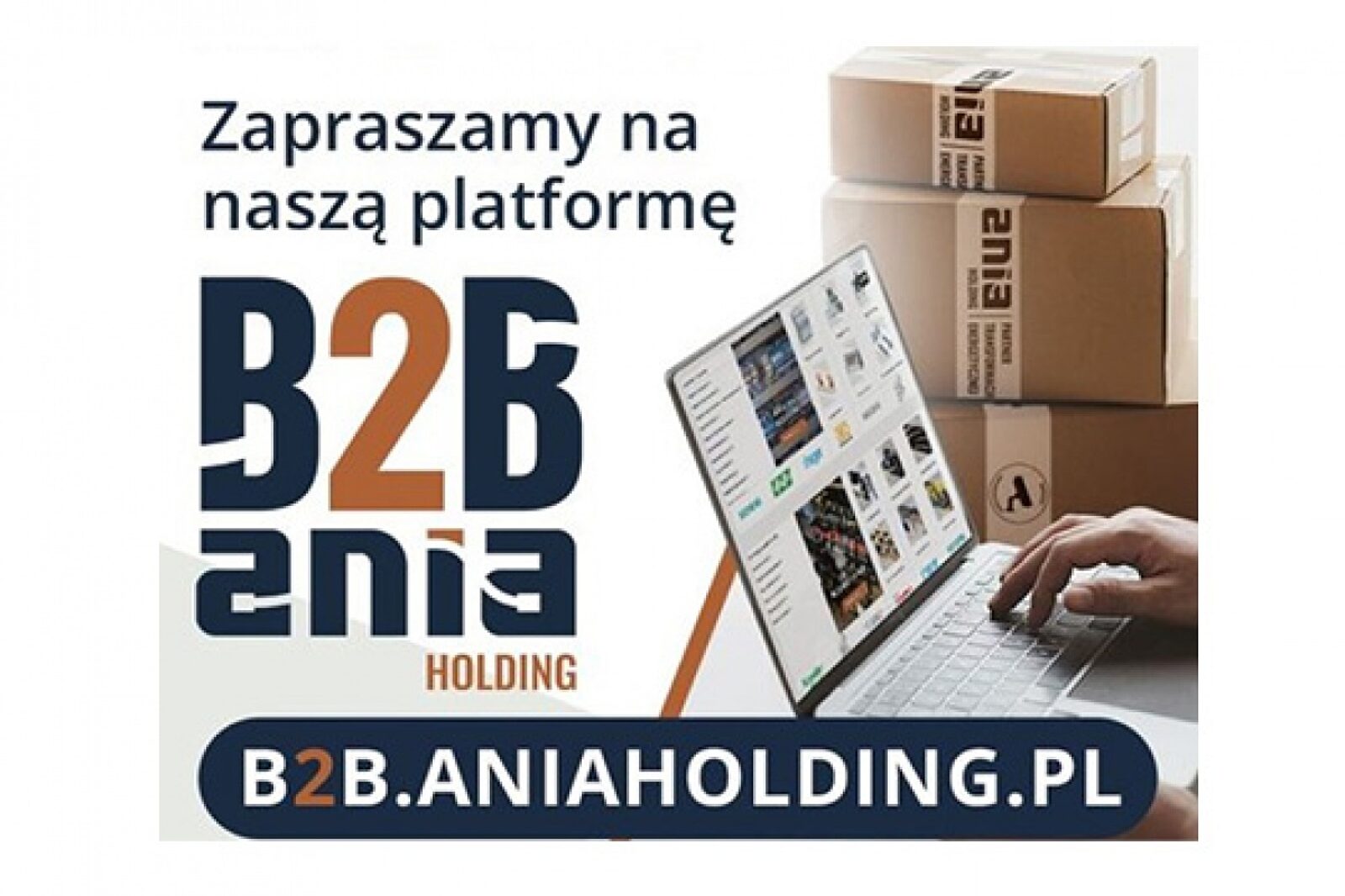 1745587562 nettg ts b2baniav1