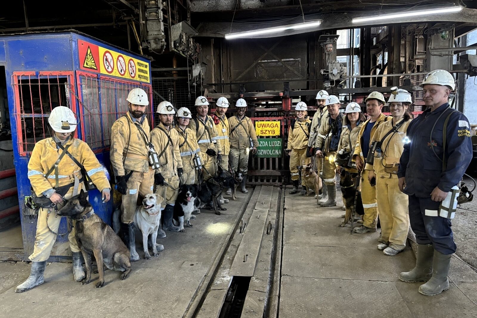 1747994984 psyratownicze