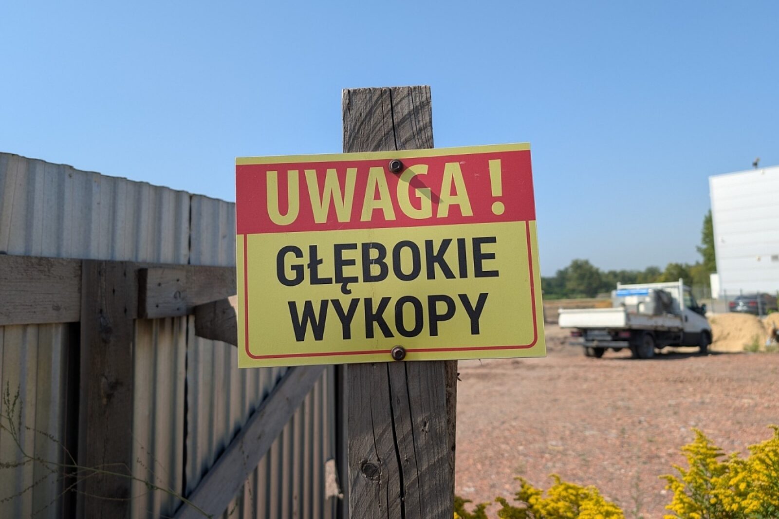 1755170832 bukowa md 1