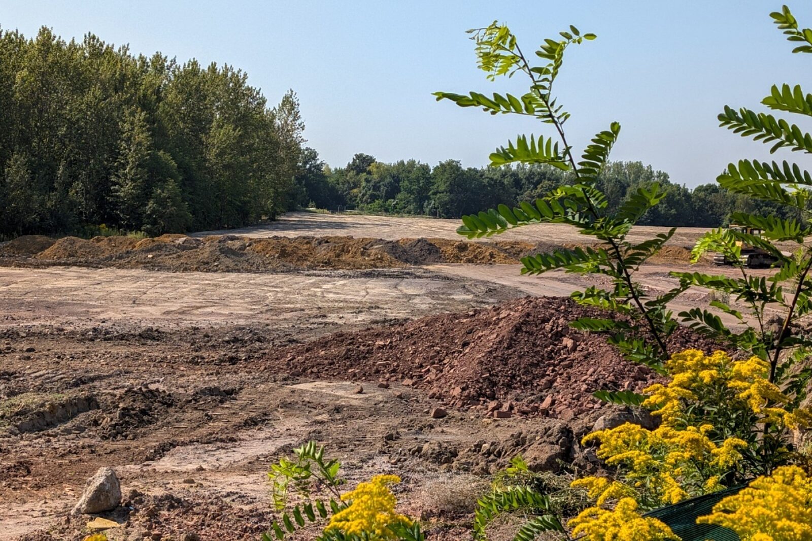 1755170833 bukowa md 9