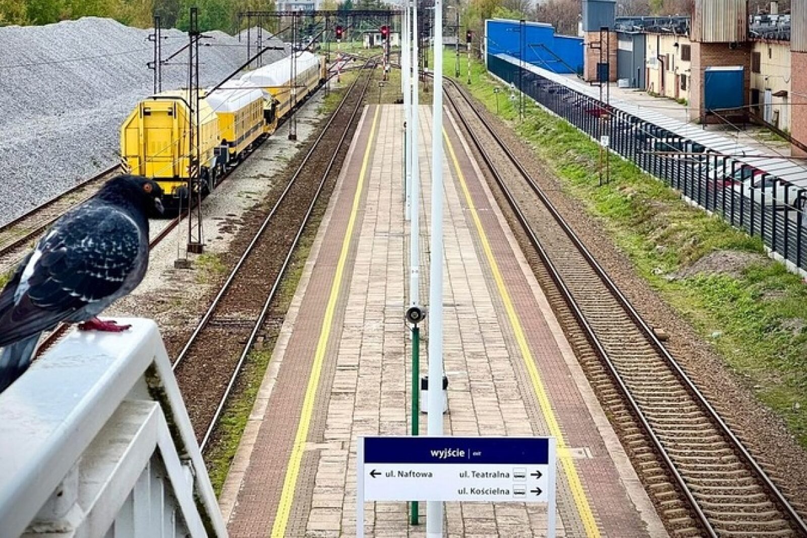 1764229691 sosnowiecpld