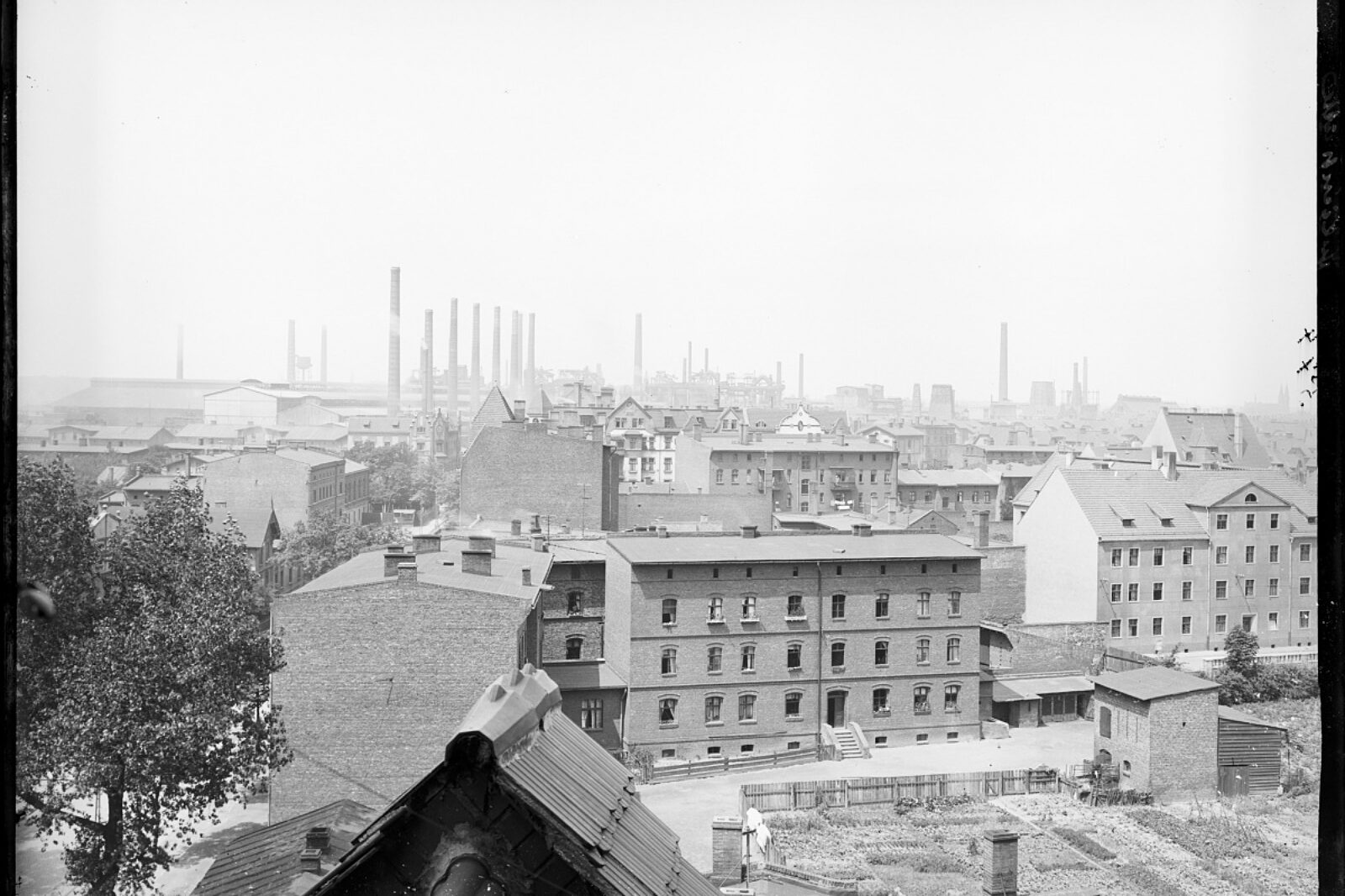 1764399040 bobreknac