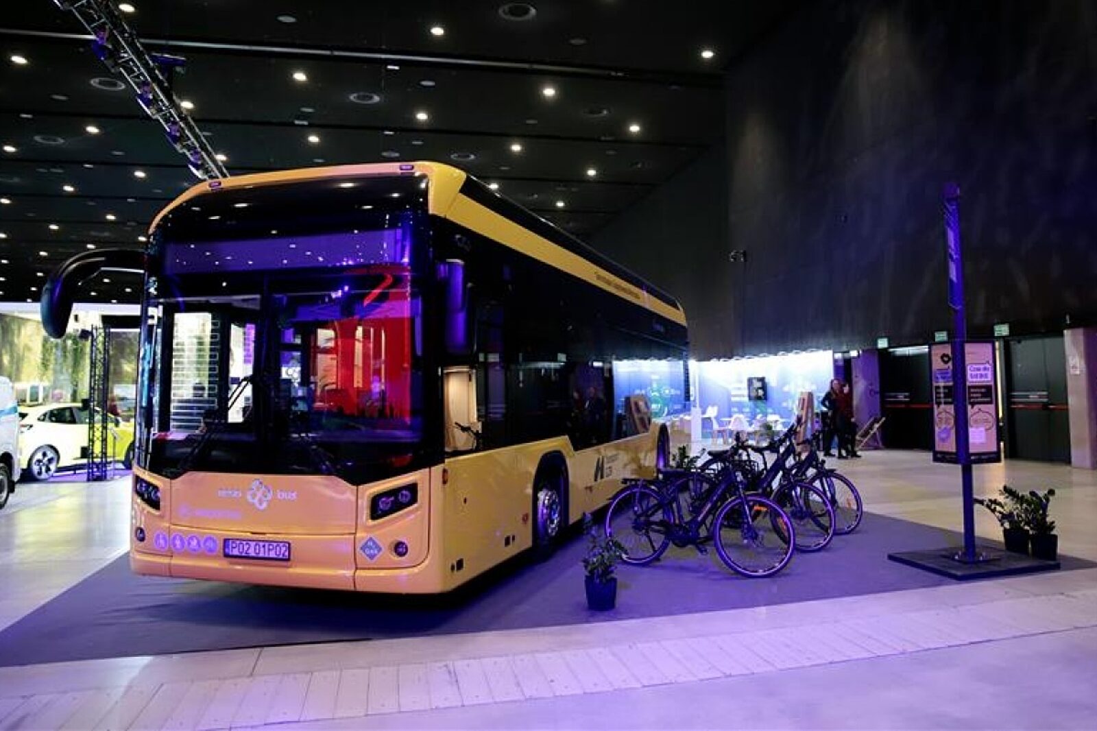 1766992585 wodorowiec