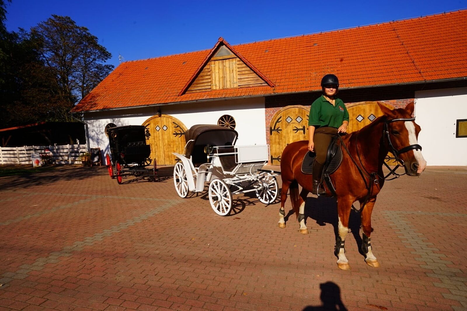 1769595111 img 20220207 wa0096