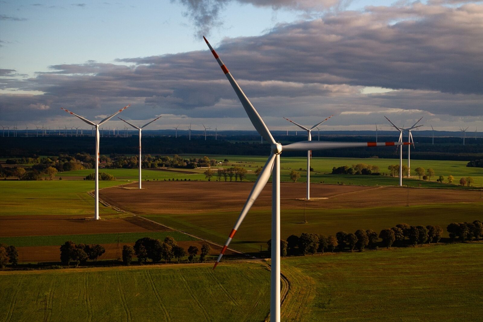 1769766518 farma wiatrowa bardy