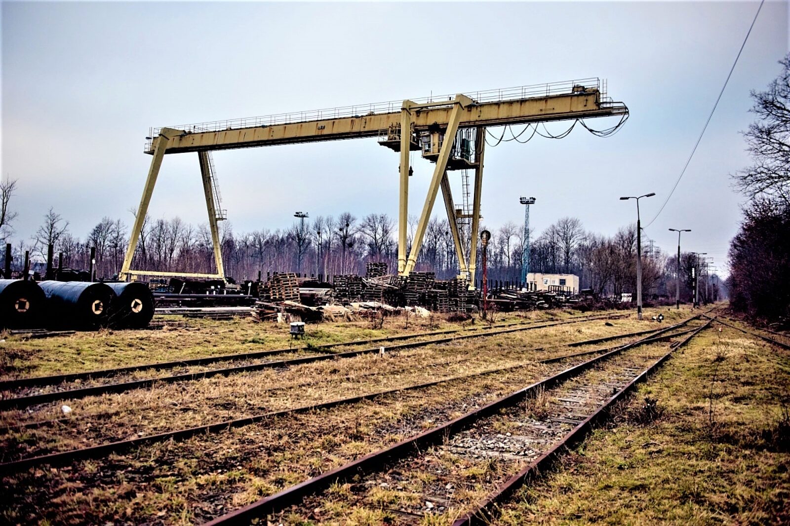 1770623115 polebojkow