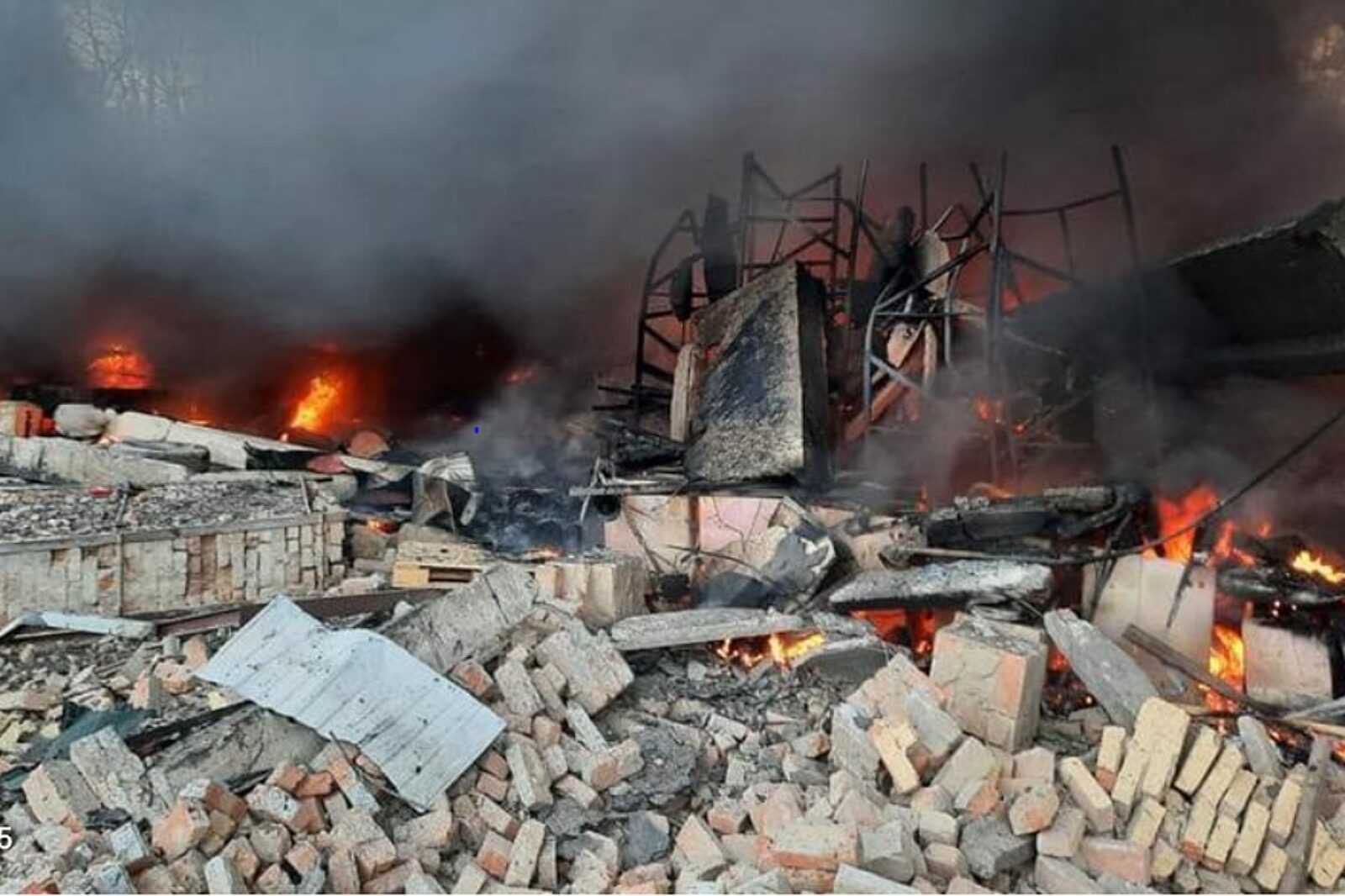 1645695680 twitter bielsatpl