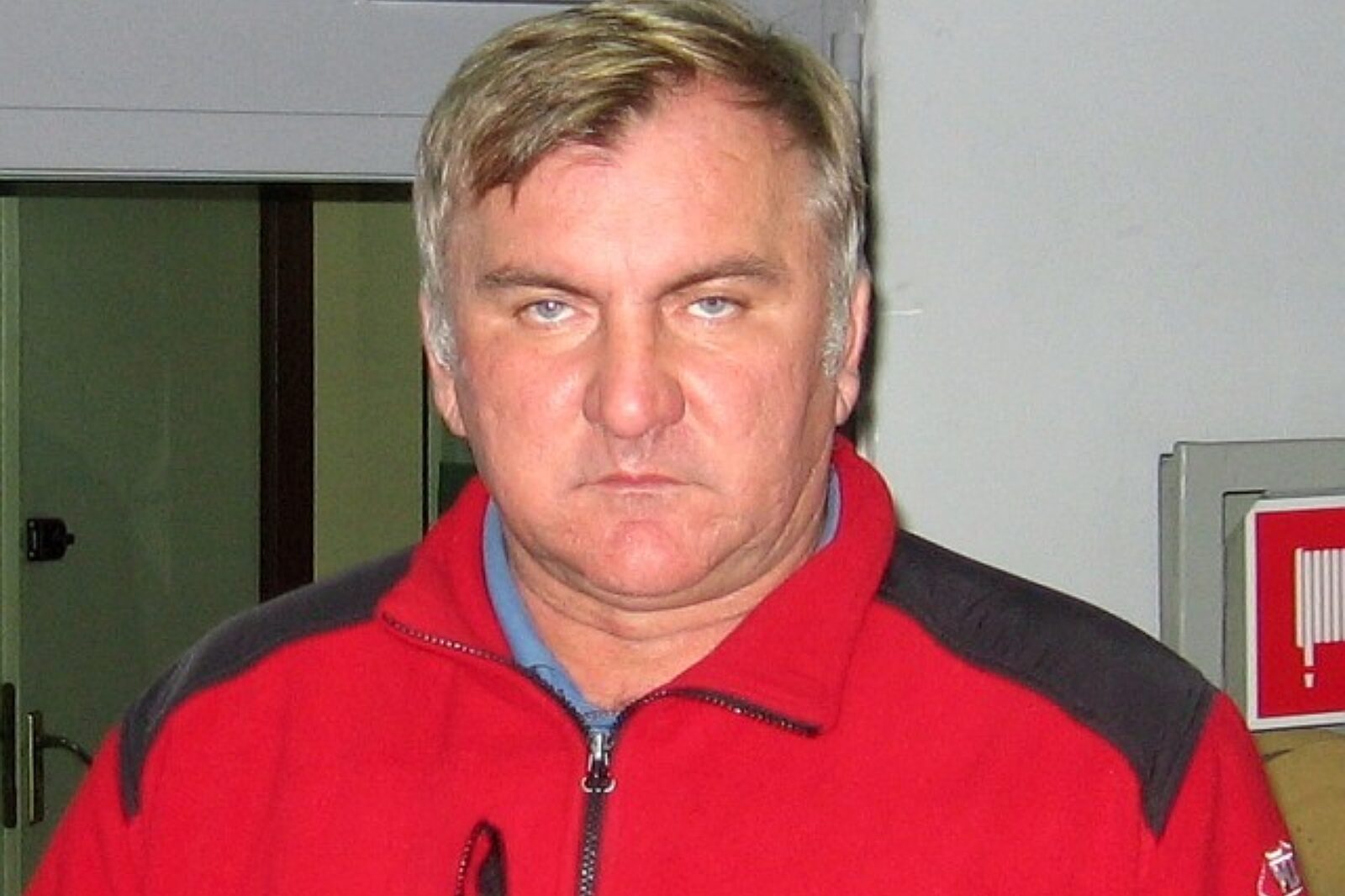 Jezyk zenon csrg KAJ