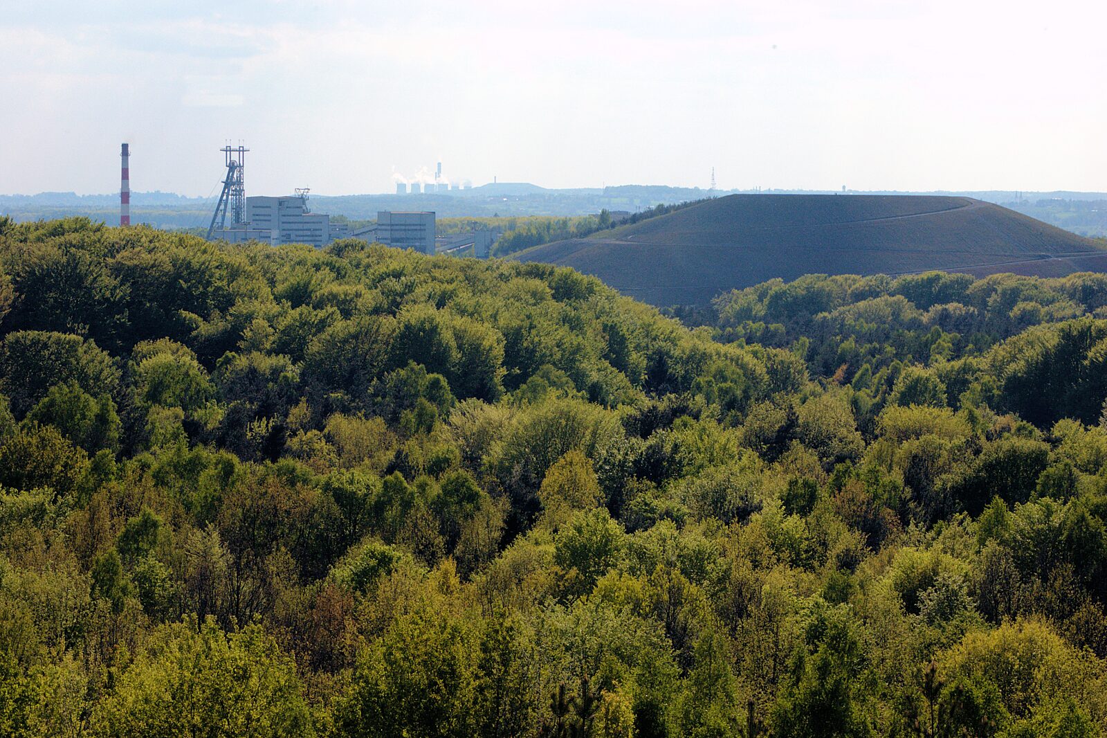 Hałda w Kostuchnie