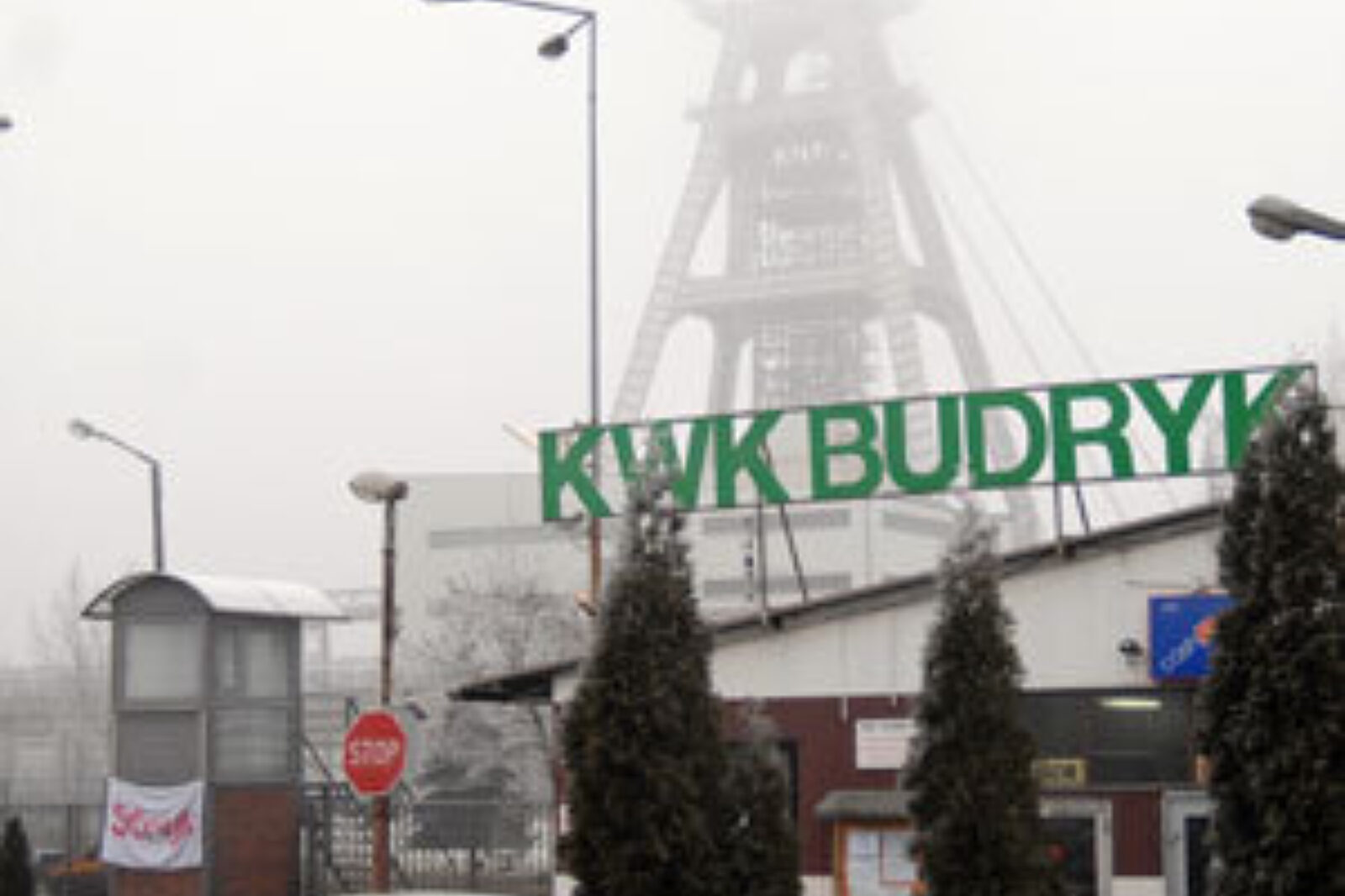Budryk gal