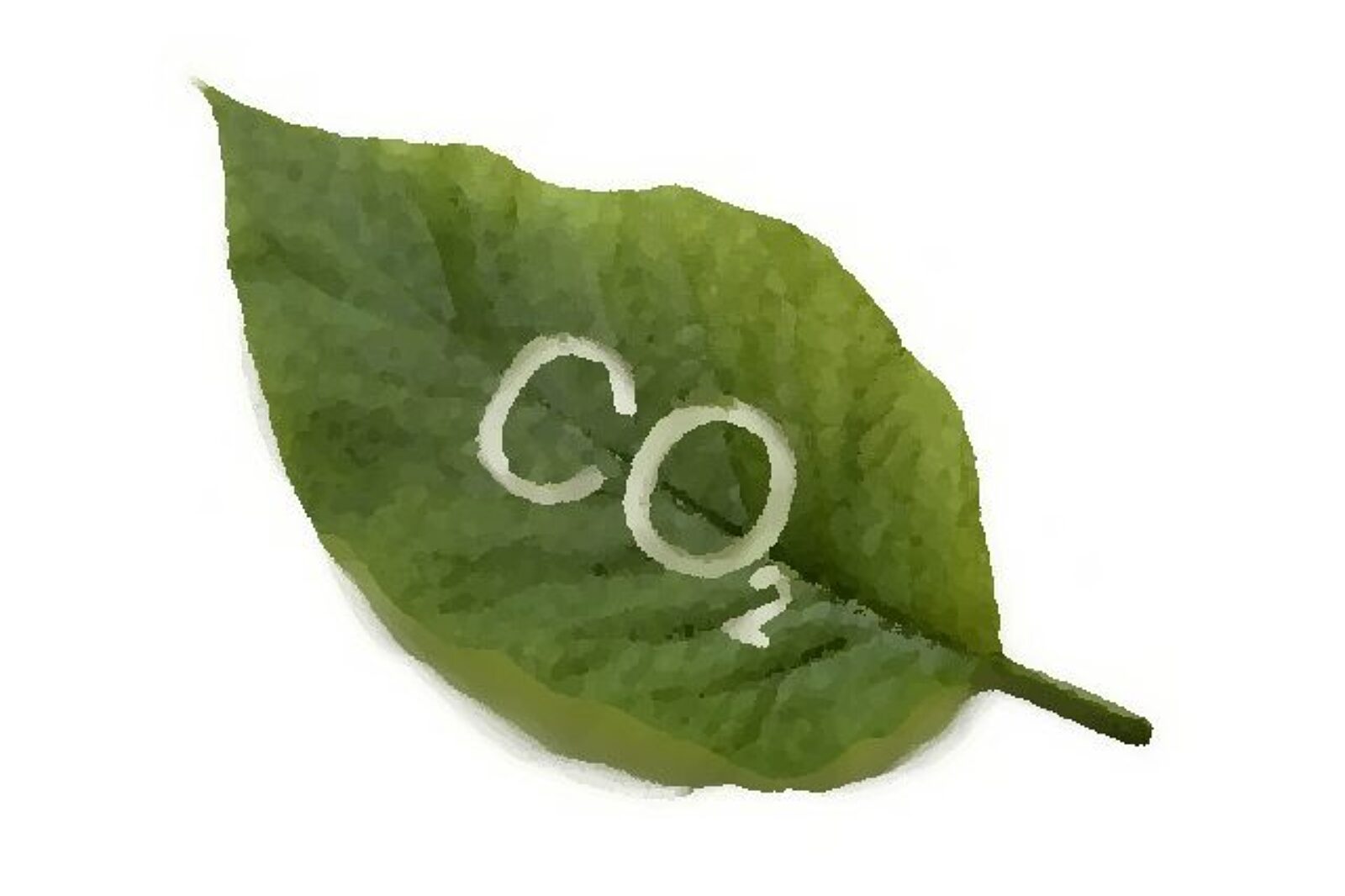CO2 3