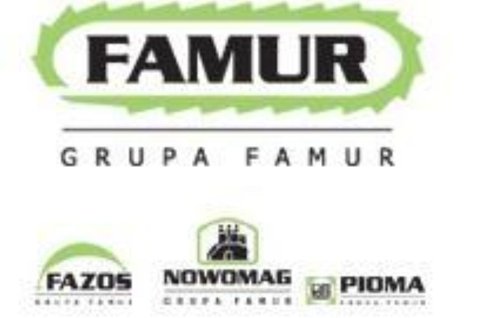 FAMUR logo