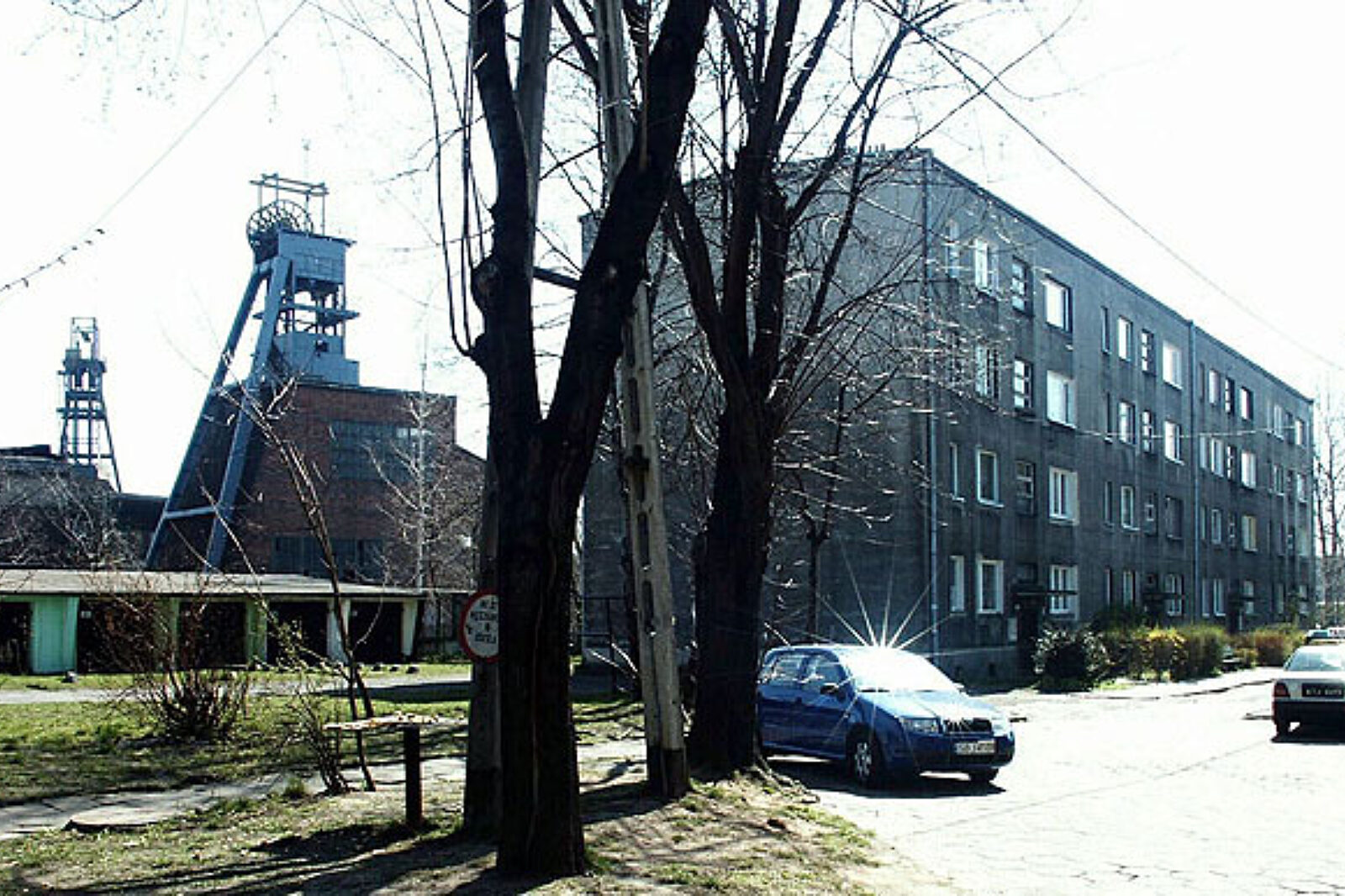 Niwka moderzejow
