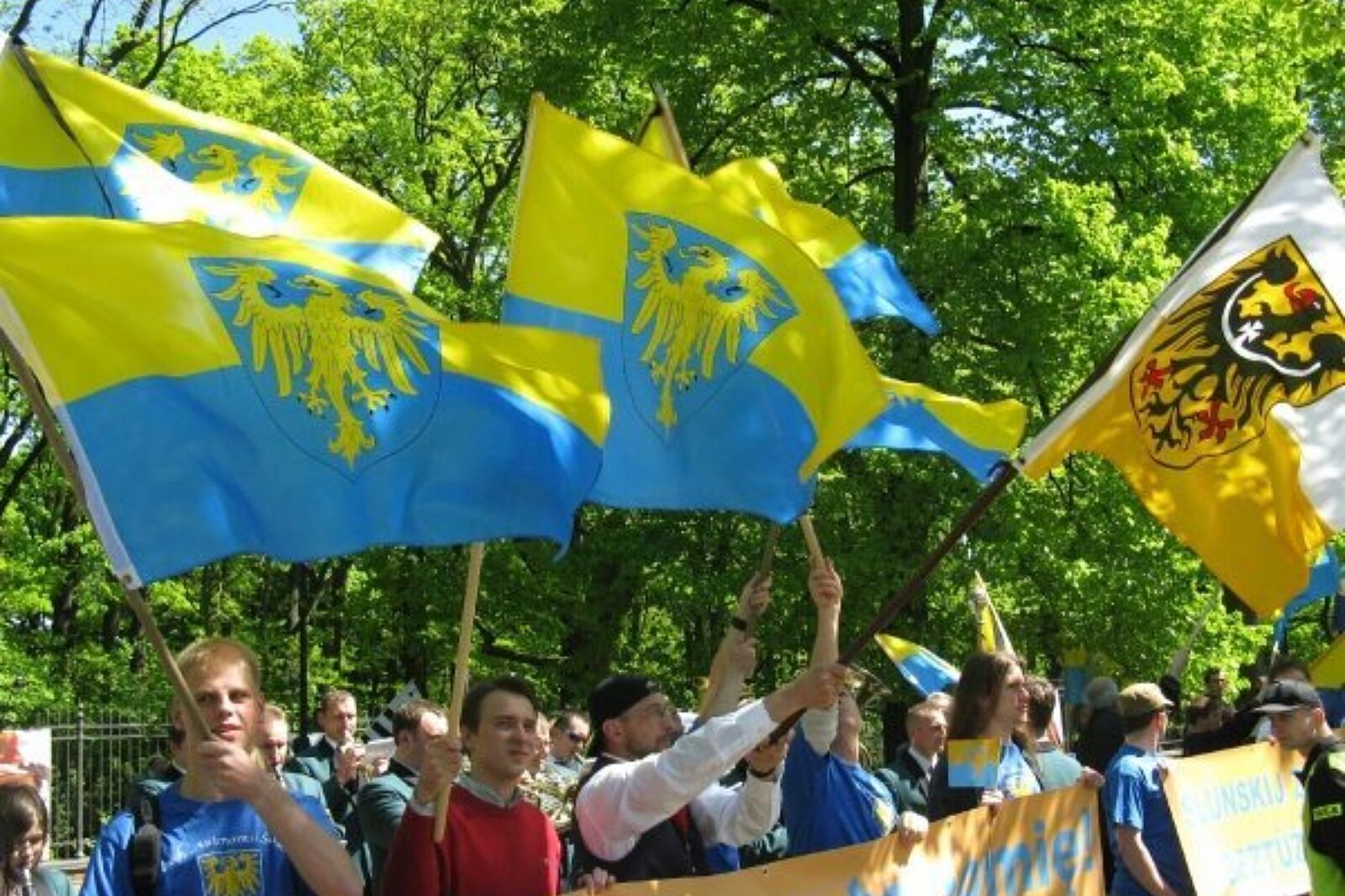 RAS pochod mmsilesia pl