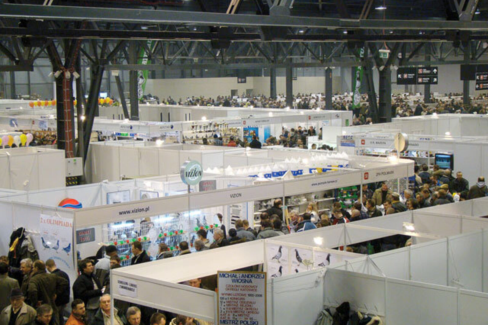 Targi golebi silesiaexpo