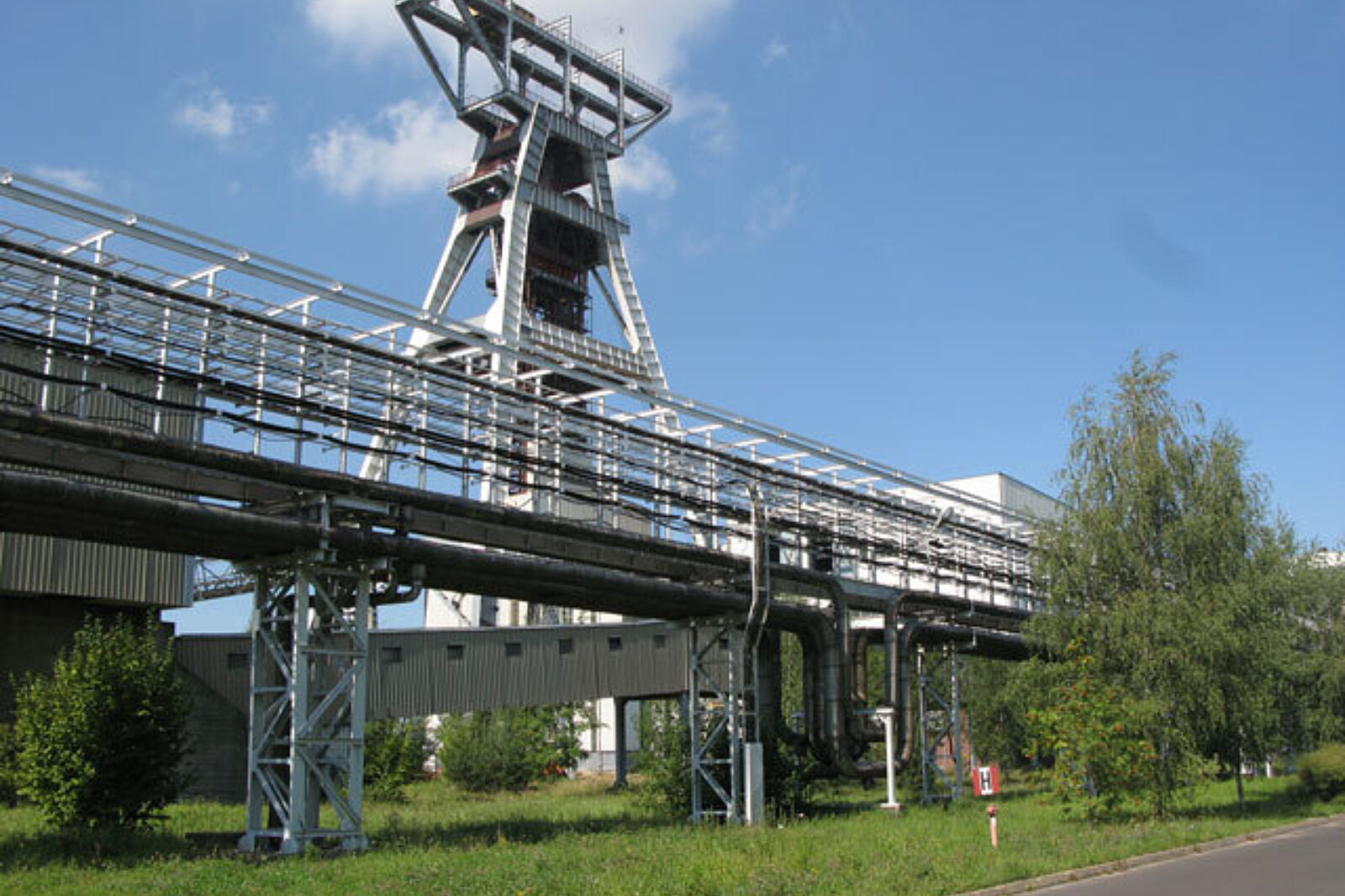 Budryk wyciag RS