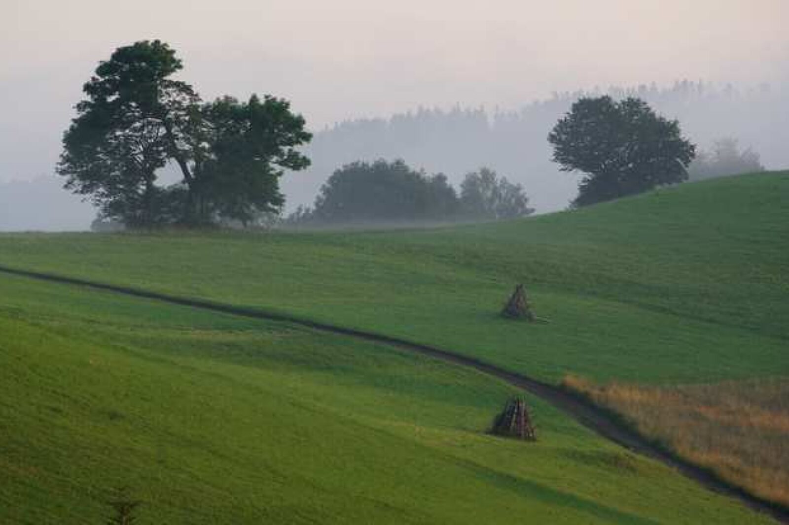 Cienkow wisla malinka foto pwsk pl