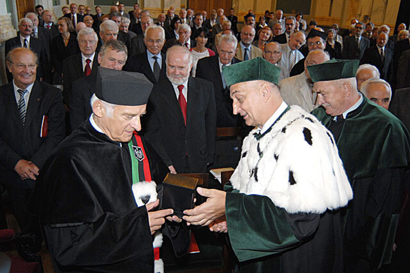 Doktor buzek GAL