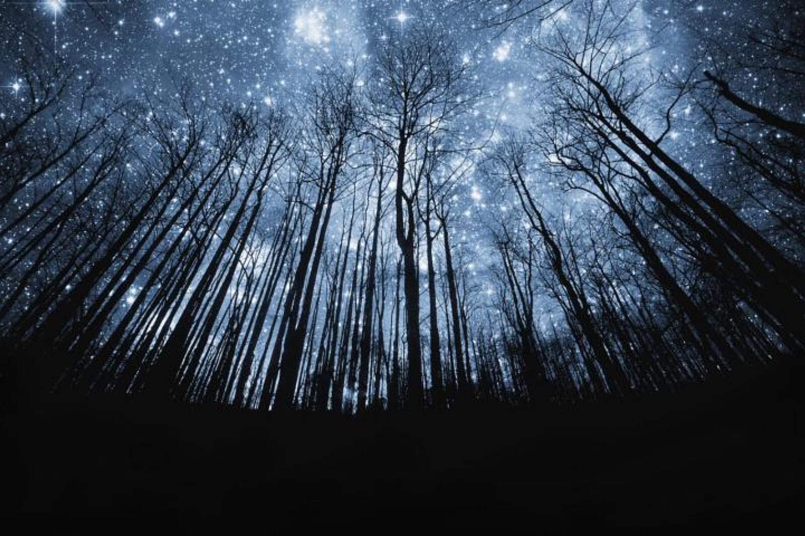 Earth hour
