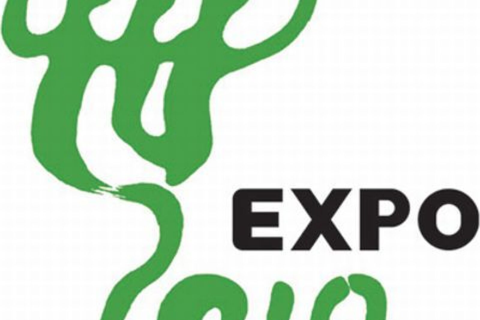 Expo2010 logo cebra info