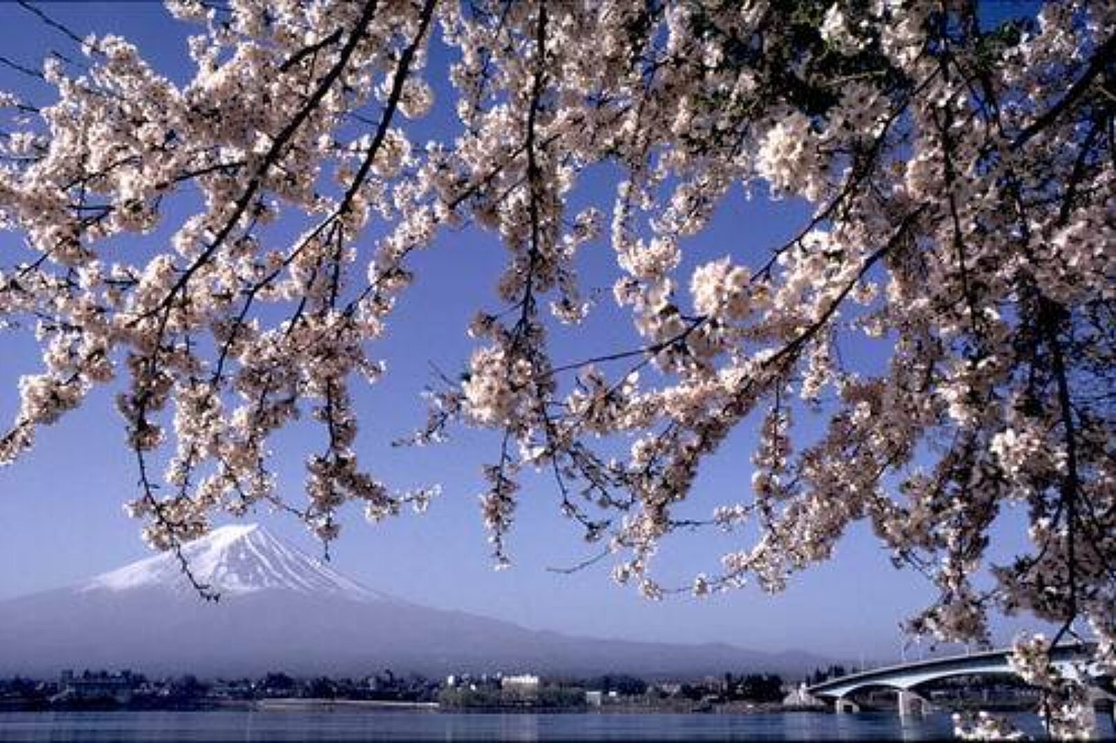 Japonia travelplanet pl