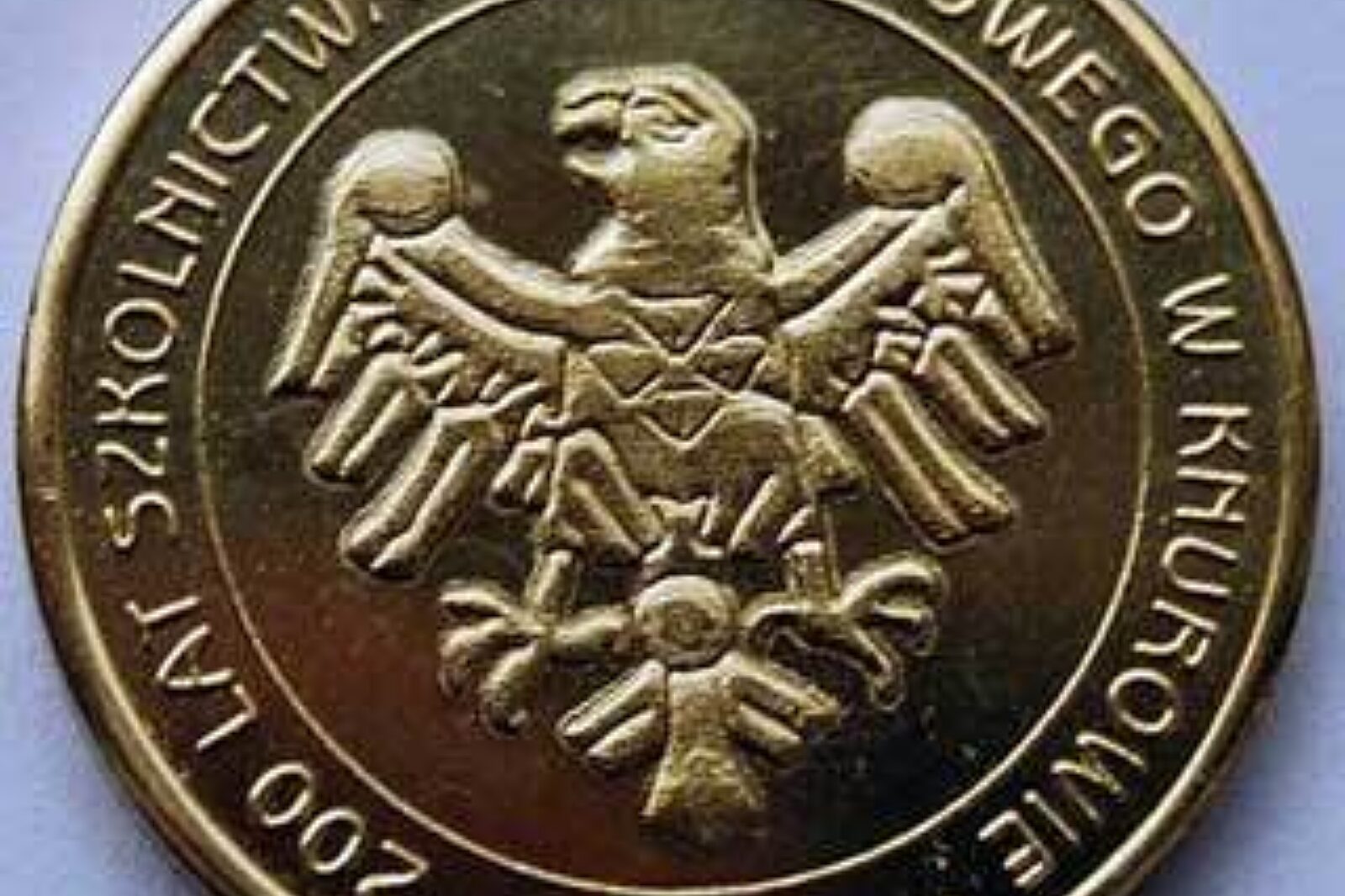 Knurow szkola meda L ARC