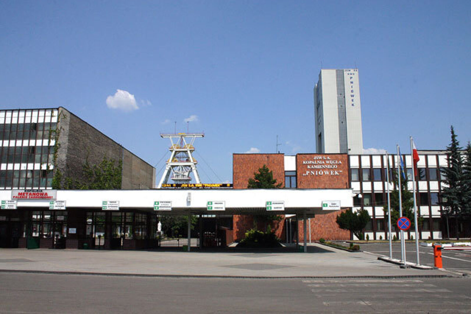 Kop pniowek KL