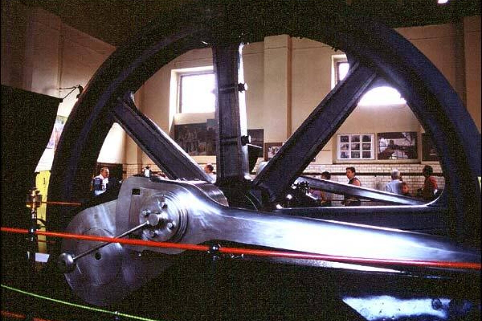 Krol luiza luizazabrzepl kolopedne