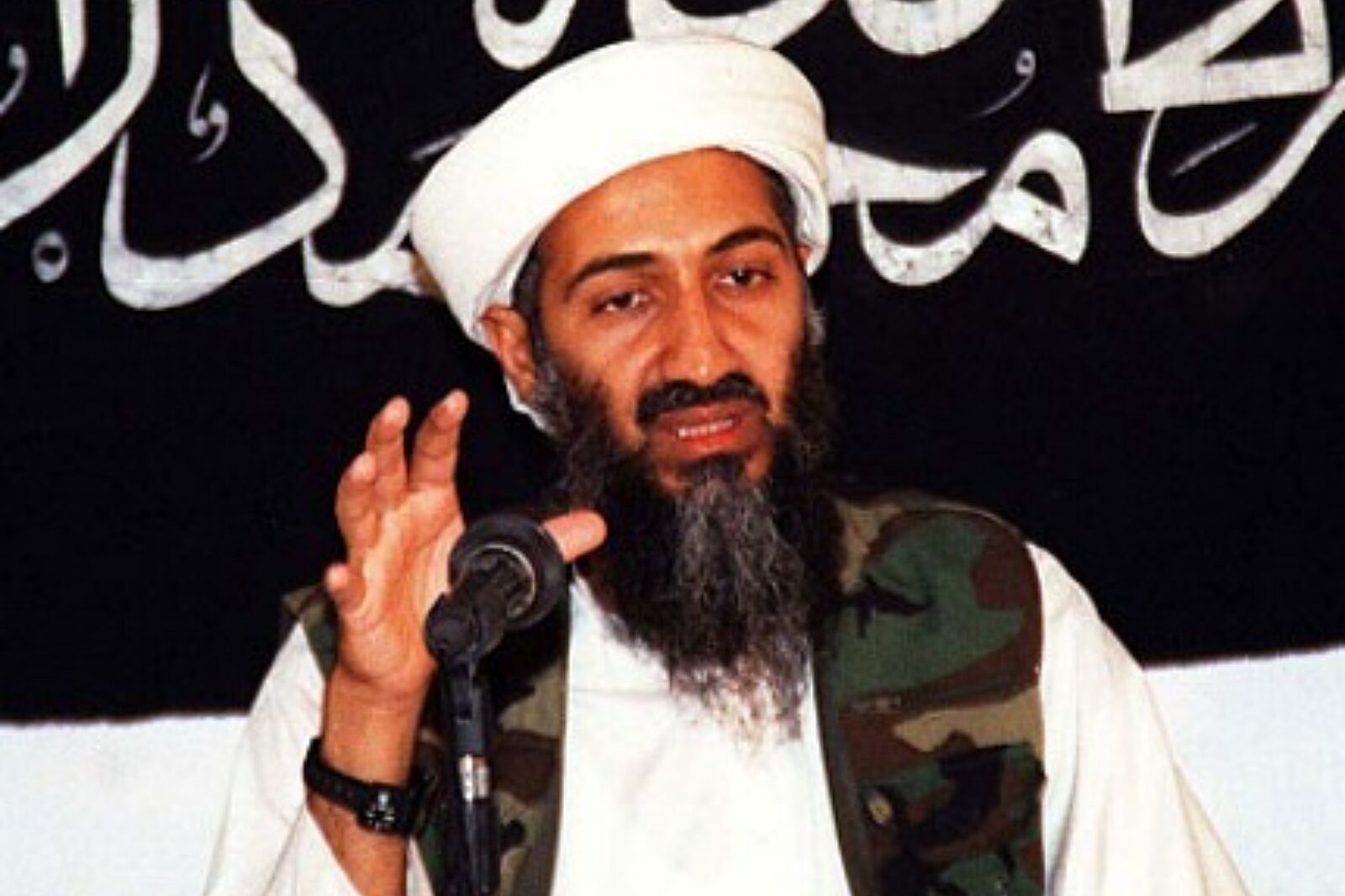 Osama bin laden nytimes com