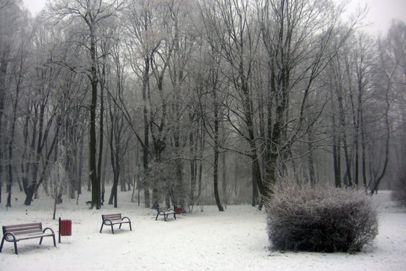 Park bytom arc